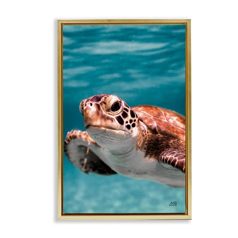 Stupell Industries Underwater Sea Turtle Swim Framed Floater Canvas ...