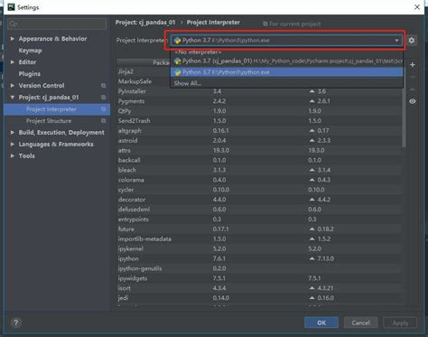 Install Pip From PyCharm 的图像结果
