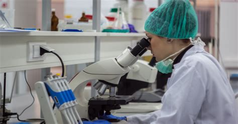 Image result for MLT Program