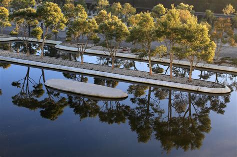 Taylor Cullity Lethlean · Australian Garden · Divisare