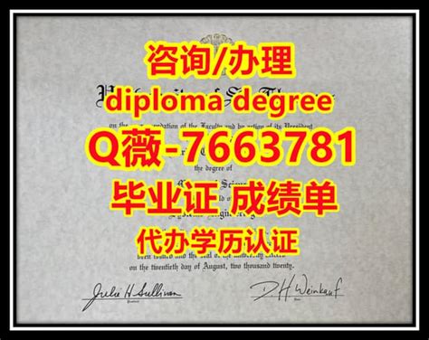 乌尔姆大学毕业证书原版定做+q薇7663781