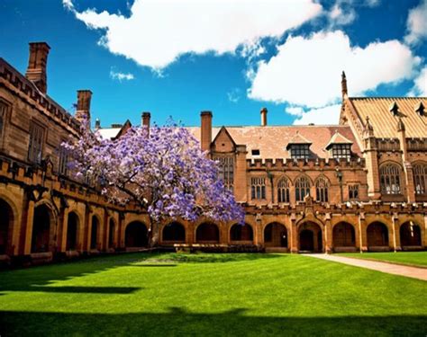 悉尼大学专业及学科排名-金吉列留学官网
