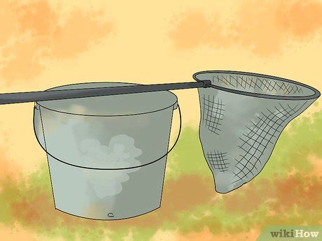 Image result for Using a Fish