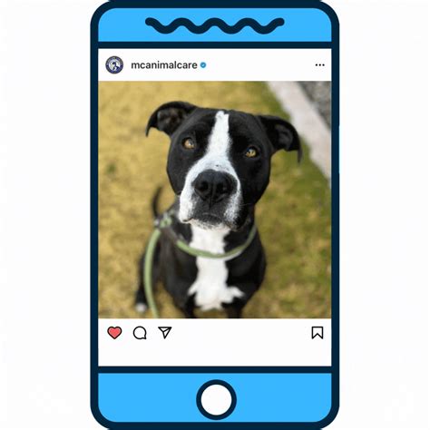 Maricopa County News; Week of January 9th, 2023