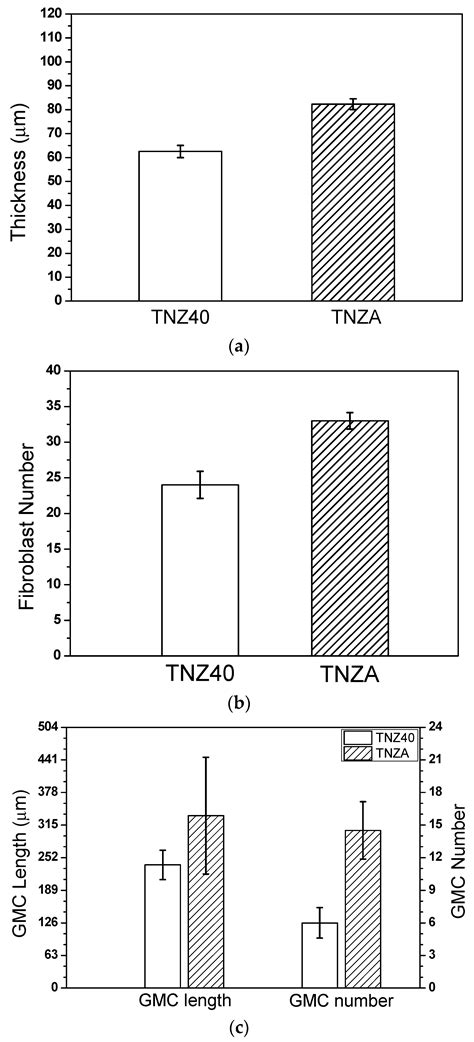 Biocompatibility and Biological Corrosion Resistance of Ti–39Nb–6Zr+0 ...