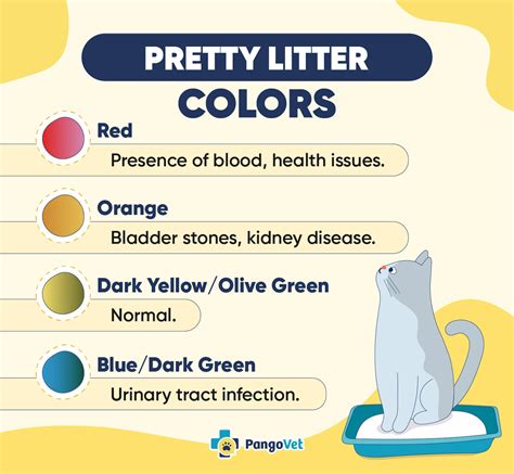 Pretty Litter Colors: How to Monitor Your Cat's Health (With ...