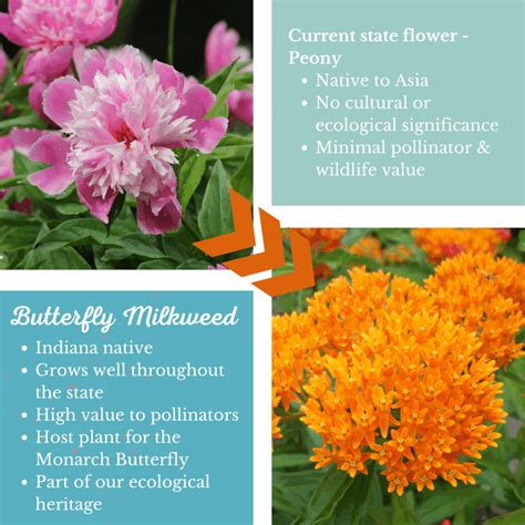 Let’s Change the Indiana State Flower! - INPS