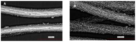Evolution of Hair Treatment and Care: Prospects of Nanotube-Based ...