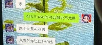 456是什么意思是什么梗 抖音456含义解析_特玩下载te5.cn