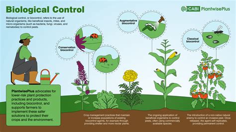 Soorten biologische bestrijdingsmethoden