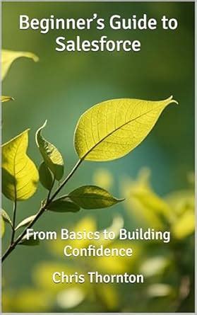 Beginner’s Guide to Salesforce: From Basics to Building Confidence ...