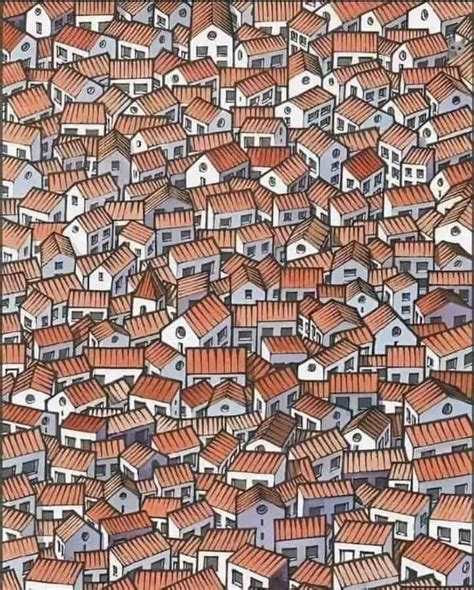 Optical Illusion Challenge: Can you find a cat among the houses in 5 ...