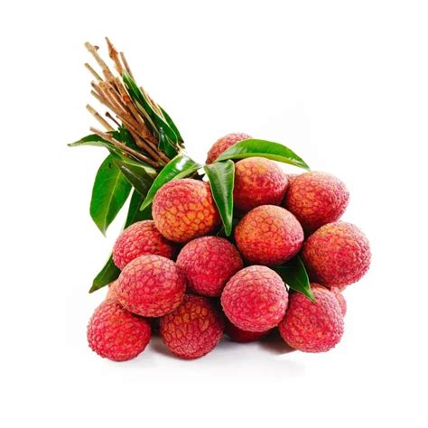 14 Red Fruits With Spikes: Nature’s Fierce Beauties - Fruits List