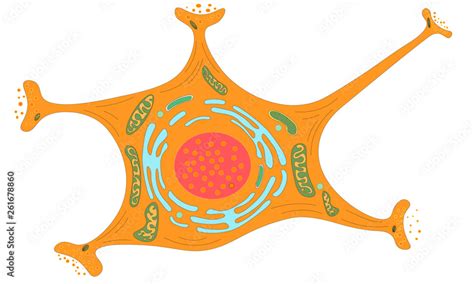 Brain Neuron 的图像结果