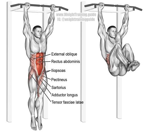 Hanging leg and hip raise. One of the most effect core exercises. See ...