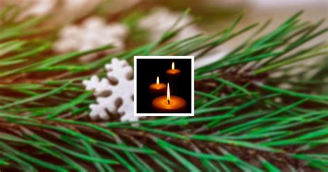 Obituary | Deana Jane Jenkins | McColaugh Massie Funeral Home