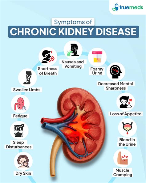 Understanding Chronic Kidney Disease: Causes, Symptoms & Care
