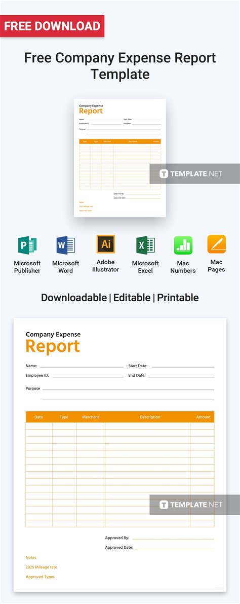 Image result for Examples of Expense Report