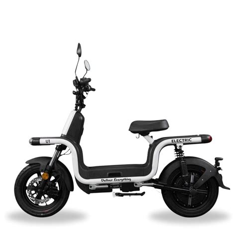 DelEVery U1 Electric | Maximum Load Capacity of 275 kg and a Single ...