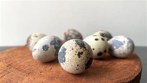 Image result for Cooking Egg Shells