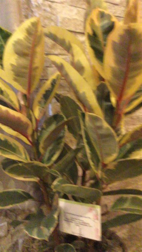 Hildebrand Russ Funeral Home | Rhinelander WI