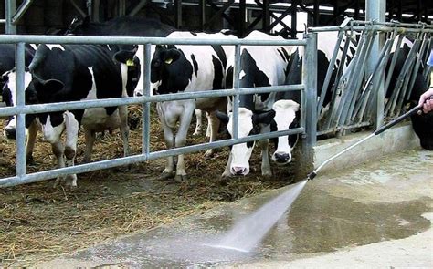 Land Washing Machine 的图像结果