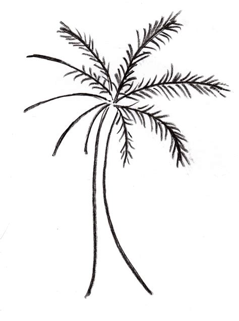 Image result for Simple Palm Tree Drawing