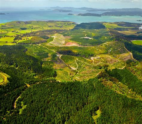 WAITANGI MOUNTAIN BIKE PARK (2026) All You Need to Know BEFORE You Go ...