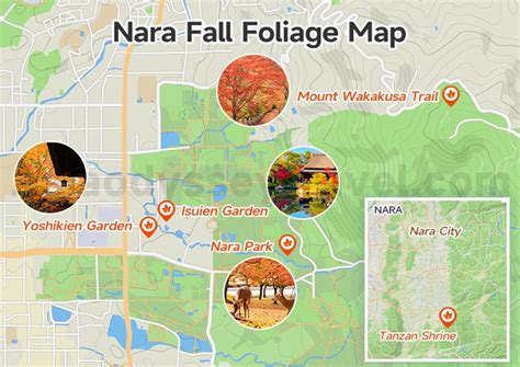 Image result for JavaScript Google Maps API