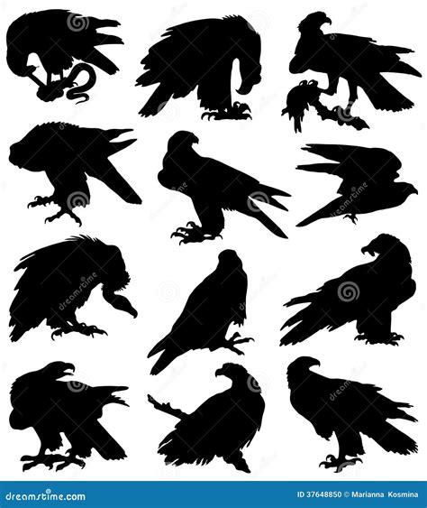 Collection of Silhouettes of Birds of Prey Stock Illustration - Illustration of flight, beak ...