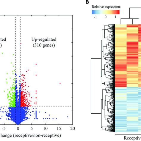 Connectivity Map 的图像结果