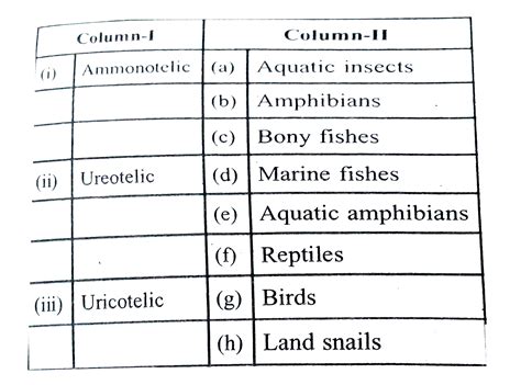 Match the following columns