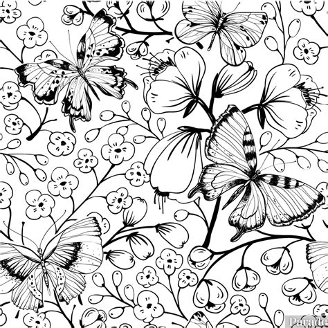 Butterfly Coloring Pages: 25 Free Printable Sheets - Parade