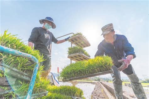 四川广安：春暖花开春耕忙-人民图片网