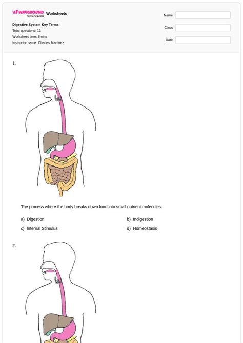 50+ Digestive Homeostasis worksheets for Class 7 on Wayground | Free ...