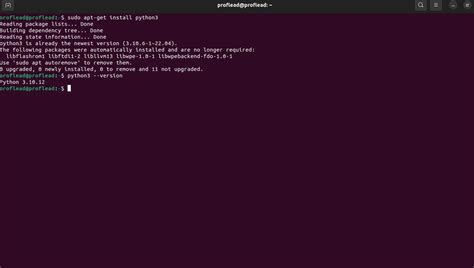 Python and Ai Projects Using Gemini API 的图像结果