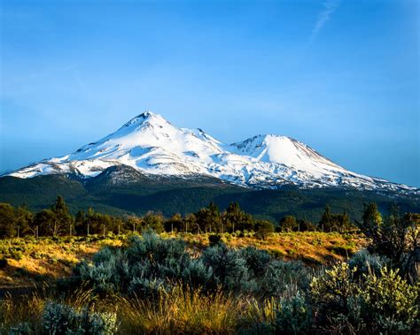 Mount Shasta Wilderness