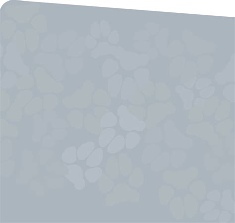 Veterinarian in Beaverton | Vet Near You | Tanasbourne Veterinary Emergency