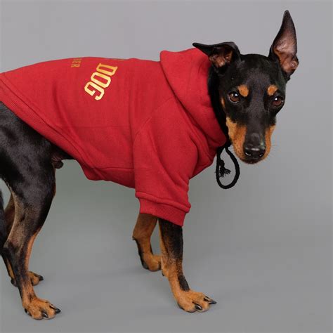 Personalised Dog Hoodie by Pethaus - Varsity dog hoodie - PetHaus