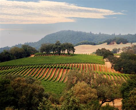 Three Arches Winery, sunnyvale, United States Of America - Top ...