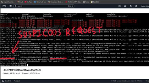 Understanding Suspicious Requests on Your Server
