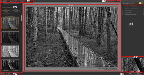 Image result for Silver EFX Pro 2 Tutorials