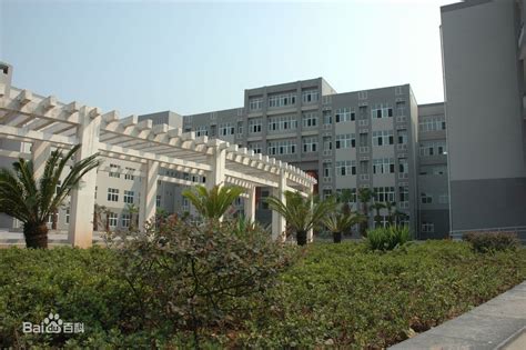 重庆大学城市科技学院图片_百度百科