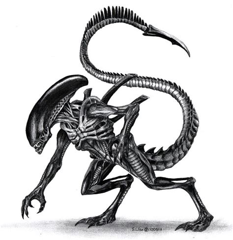 Xenomorph Drawing Tutorial 的图像结果