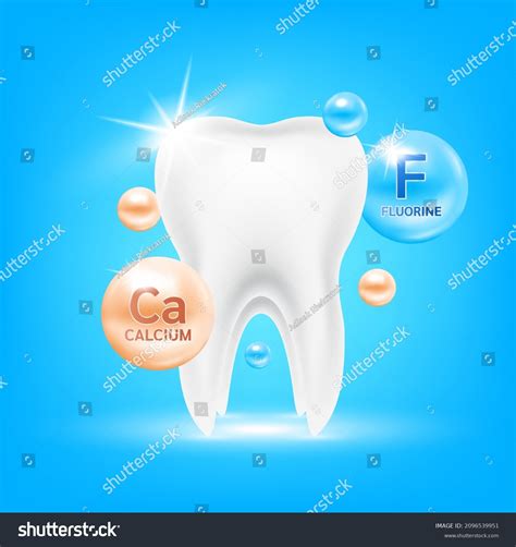 Calcium In Bones And Teeth