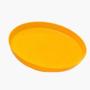 Praish Poultry Chicken Feeder Tray for Poultry Farm Ground Bird Feeder ...