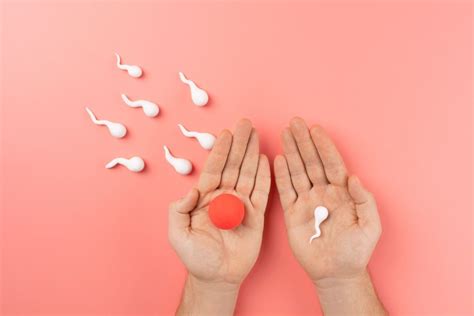 IVF Vs IUI: Which Fertility Treatment Is Better For you, According To ...