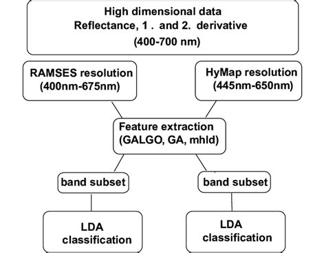 Image result for Classification Supervised Approach