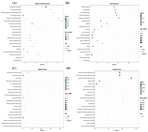 Synthesis, Herbicidal Activity, and Molecular Mode of Action Evaluation ...