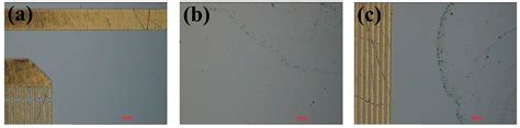 A Study on AIN Film-Based SAW Attenuation in Liquids and Their ...